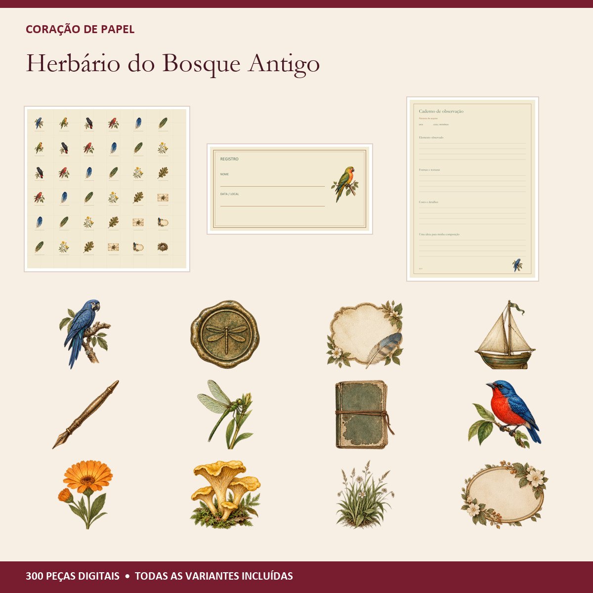 Prévia dos arquivos da coleção Herbário do Bosque Antigo
